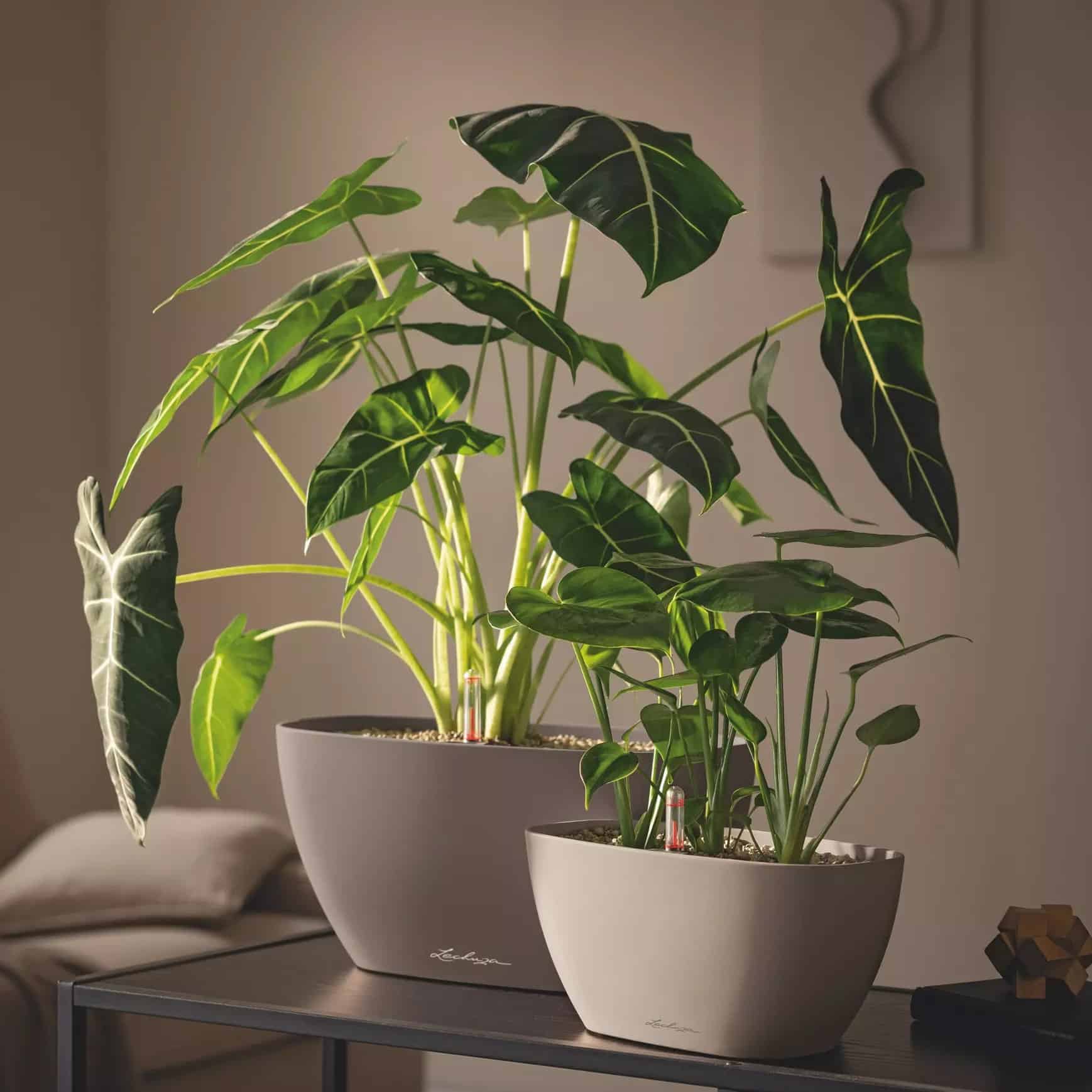 NAVIO Color 10 white (5)