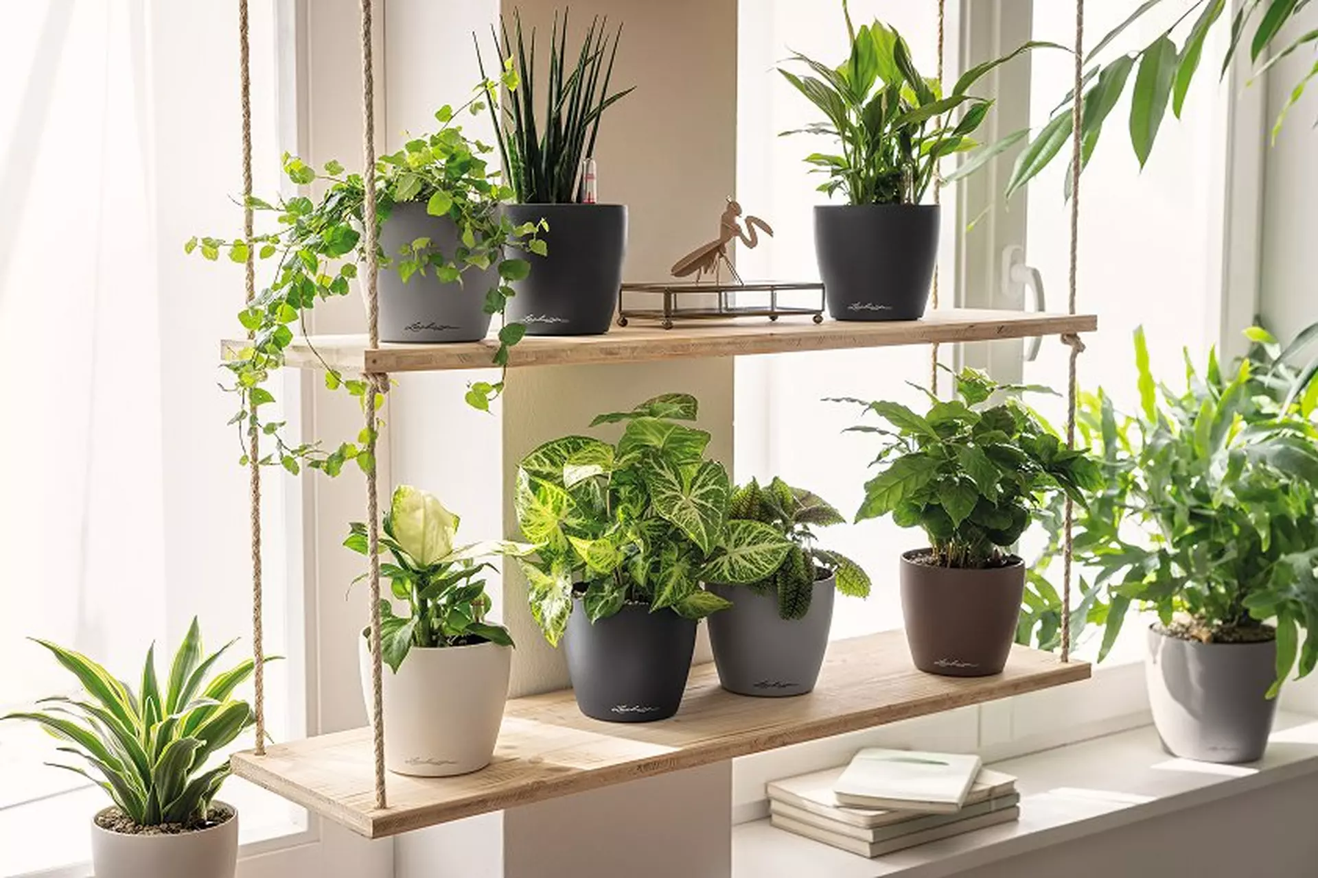 le_indoor_plants_block1