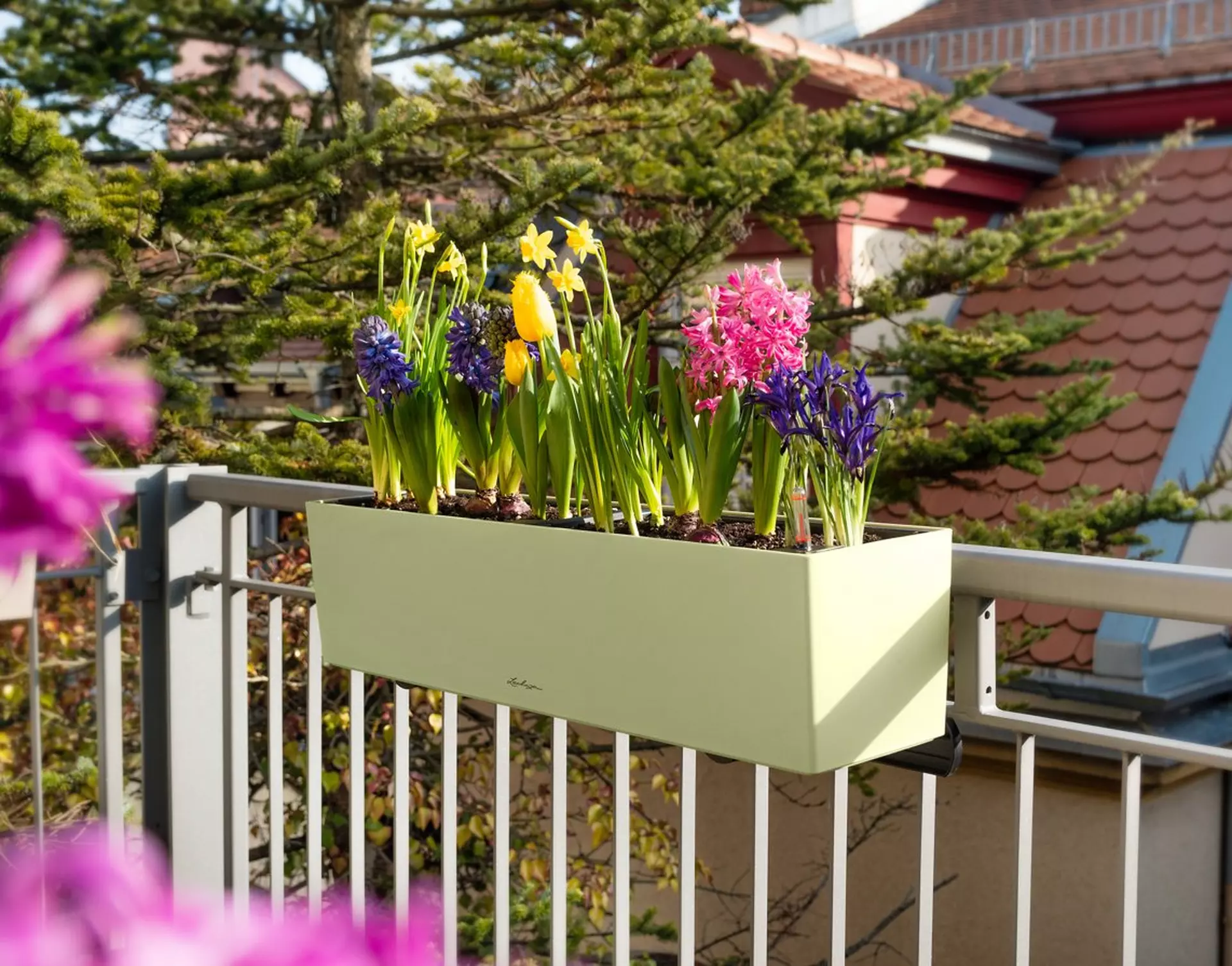 le_tw-spring_cube_glossy_kiss2
